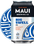 Maui BC Big Swell